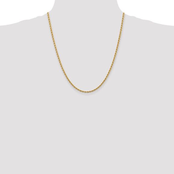 2.75mm 14k Yellow Gold, Diamond Cut Solid Rope Chain Necklace, 22 Inch - Picture 2 of 8